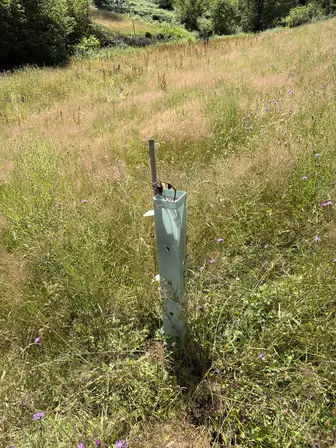 Foto treephoto-v2xadlpu5lp58l8je6dnofuv.jpeg