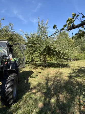 Foto treephoto-f16xar7gs6ijcrx9cyxnf7xs.jpeg