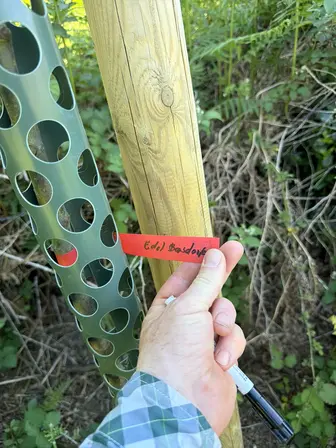Foto treephoto-l3u228pgx1qu35udl7evh5uf.jpeg