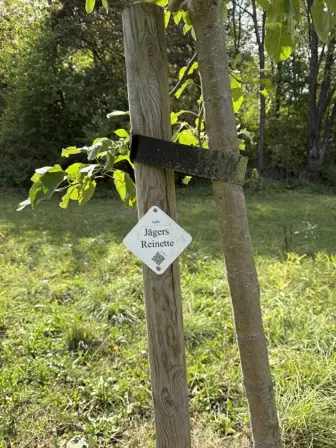 Foto treephoto-gz2kej2agvfxt1wbt20jy9b5.jpeg