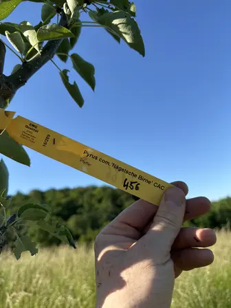 Foto treephoto-d5urvfn11n6d3wpopfqsgkvm.jpeg