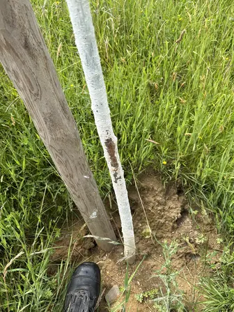 Foto treephoto-mqxlcg28sowv6j20uhm20t19.jpeg