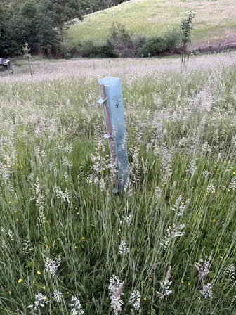 Foto treephoto-yt5g42i2spat4y8psan5pmpb.jpeg