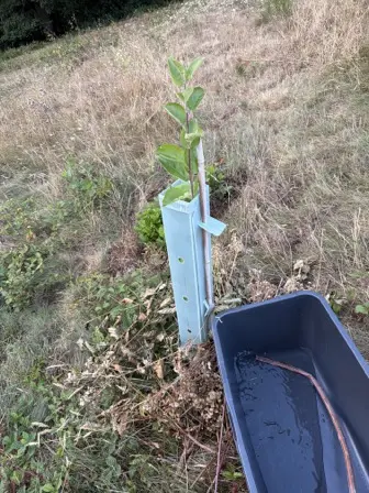 Foto treephoto-vpkzwagsu8jhvpuywbuu6pnq.jpeg