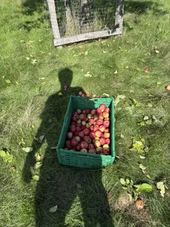 Foto treephoto-dr9hbnwomg7rw23bc1xywgca.jpeg
