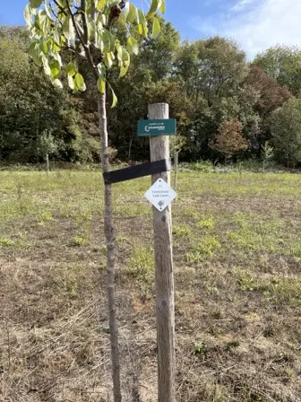 Foto treephoto-zl1k7g2wop8yc46la0i6ezk5.jpeg