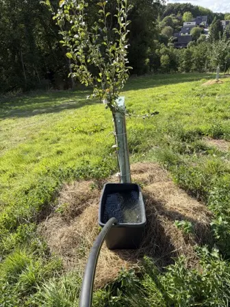 Foto treephoto-pqy0fl77id02xl53dy2m6vfu.jpeg