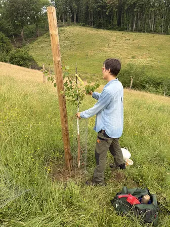 Foto treephoto-p2onelpapy9hpz1j182af7fa.jpeg