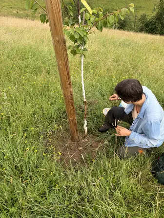 Foto treephoto-ty76zy8akfhnvldb5ohfani7.jpeg