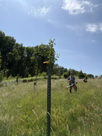 Foto treephoto-n6c41beb9xur9lkuizyqaivw.jpeg