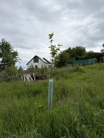 Foto rvwrnpnpv91el53rro94x4ku.jpeg