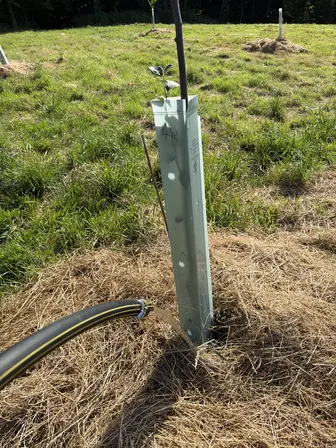 Foto treephoto-a0oj9gndj480fca0muvmht8c.jpeg
