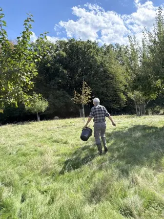 Foto treephoto-wkmrtlj7cc0wfmwz3tkvyhu5.jpeg