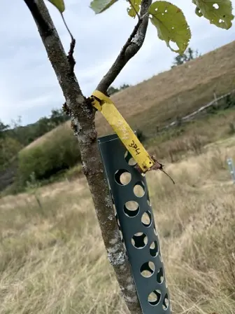 Foto treephoto-z2ldahljlznn9balq8y32eay.jpeg