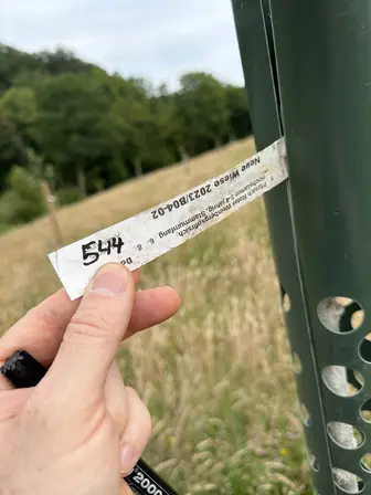 Foto treephoto-klsvq9c3f2bpjpa26dbhb65v.jpeg