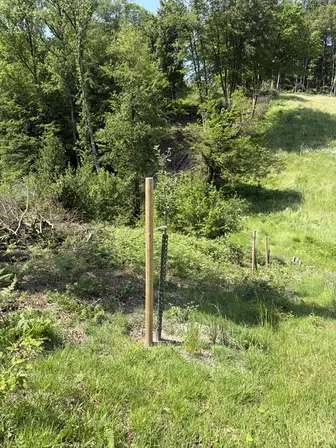 Foto treephoto-aptfzbdcrb15ar623uldp84w.jpeg