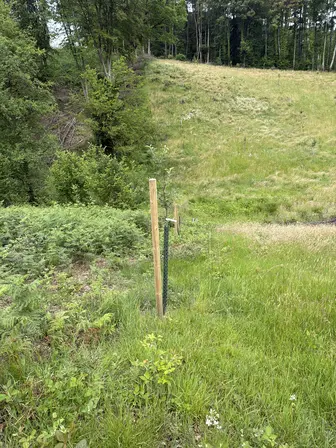Foto treephoto-u1wa961wwzakq7f721s104tg.jpeg