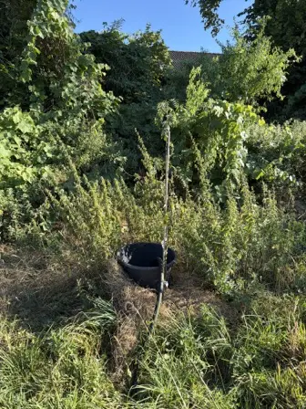 Foto treephoto-xs40fvguj46k9xdasbv3mrm9.jpeg