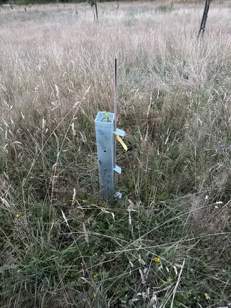 Foto treephoto-d383luokio1ra56jhn679dry.jpeg