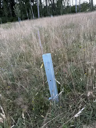 Foto treephoto-jsfn9ehz81ih15k321gaicf9.jpeg