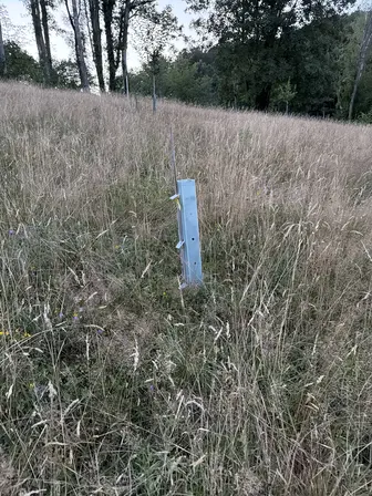 Foto treephoto-wjtt9xgu0lmktgnehl9d5g4n.jpeg