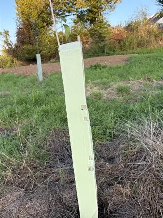 Foto treephoto-s0zk5nufms1nolsxc7rvfo5k.jpeg