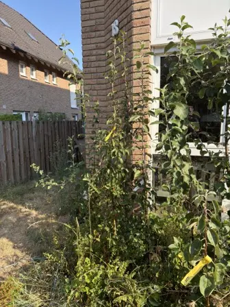 Foto treephoto-u34v4b4zca0ijr3qlzdqmvd4.jpeg