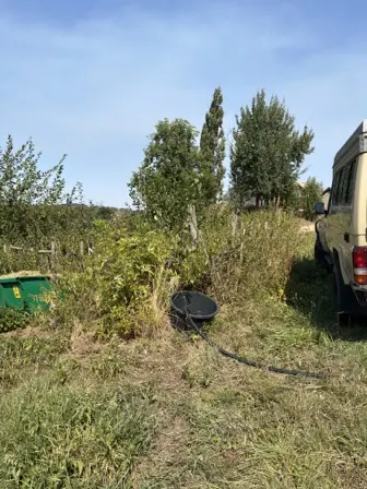 Foto treephoto-t9wbuxaxcddeuab5f1xr7ayp.jpeg