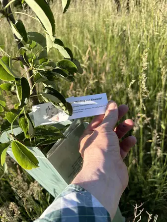 Foto treephoto-usprnbdwopryq4xmdedjzag7.jpeg
