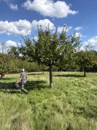 Foto treephoto-j353mw3gmnrueooyzvz92cbe.jpeg
