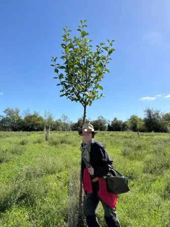 Foto treephoto-k5rtzlmefdjv0i4hr1ddlmvc.jpeg