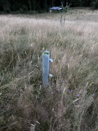 Foto treephoto-lyxhzhmkfjzvh2x5h6ijhbwf.jpeg