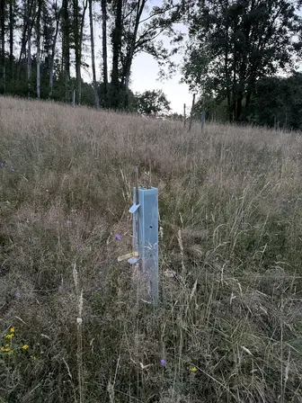 Foto treephoto-u3yczlhefwojuwh0ijtv6r5w.jpeg