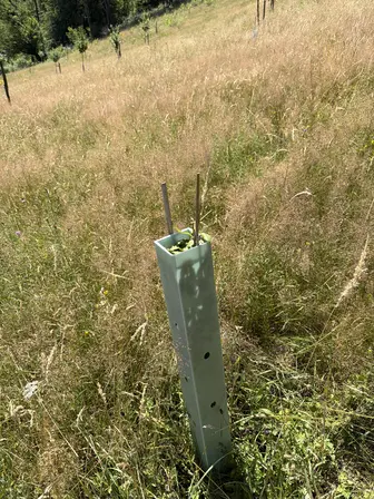 Foto treephoto-uxh9y30lt462xaepauxbiefv.jpeg