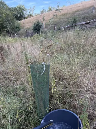 Foto treephoto-eep6bxxti1dkgdfvpddfzqd3.jpeg