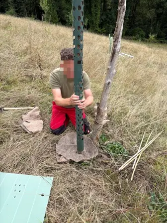Foto treephoto-ez2prztbw7j426xaxaqa2o97.jpeg