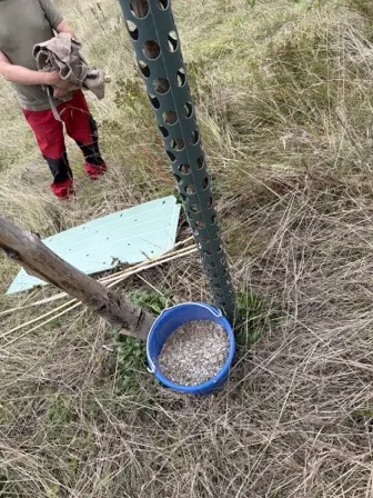 Foto treephoto-pujp3wgoip5pyh4x59s3o5a7.jpeg