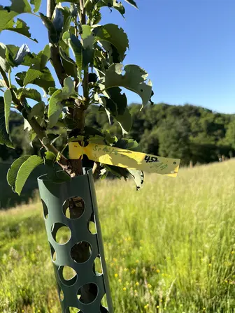Foto treephoto-u3pf3gwgwrei3ntol31pa9kb.jpeg