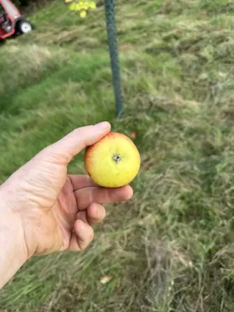 Foto treephoto-u9kmkcgdxz6tctacpy28z0ny.jpeg