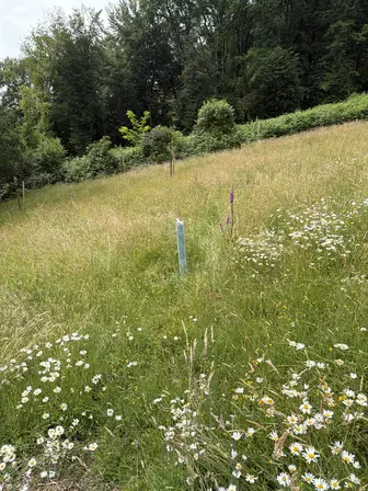 Foto treephoto-shnf56op2hcb09whkb8izqbg.jpeg