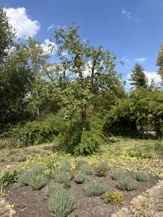 Foto treephoto-fjf4081bdobhz9gm9m4oc4j5.jpeg