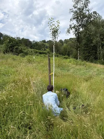 Foto treephoto-huaz7xxk8duualmhl2kehcvp.jpeg