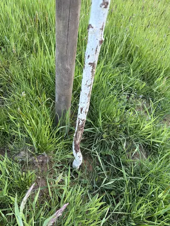 Foto treephoto-z2b8iavweuf4z310i8p2cdnp.jpeg