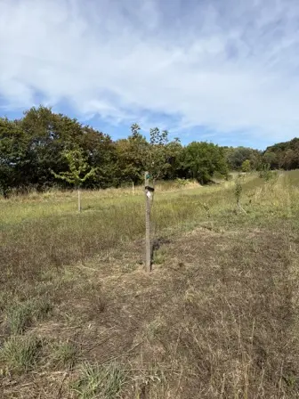Foto treephoto-ei0ps7sl1p0vnh8xdxcd14pv.jpeg