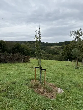 Foto obsidian-image_1_1-4288ac5d38ad3d9e8830e138b56944f42cb93f694d7986c47e8ba47f4e0239e8.jpg