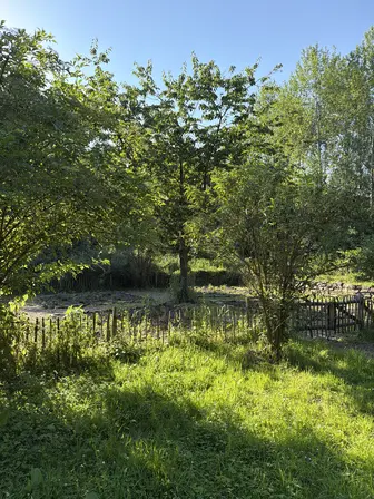 Foto treephoto-ybltybl1d94185ccfw254gb7.jpeg