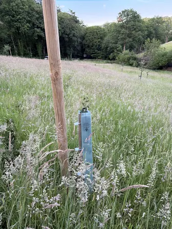 Foto treephoto-x168pd9njx5gmltiqd6rrq3g.jpeg