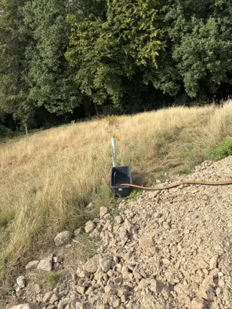 Foto treephoto-ce81048thedxogjggf2mfoy3.jpeg