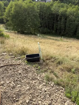 Foto treephoto-diehjzkfmrzzx0wfiv32zzva.jpeg
