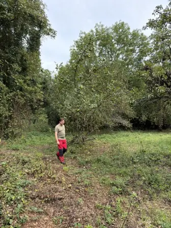 Foto treephoto-v9vg0nick0ts0uec5yyy6ydc.jpeg